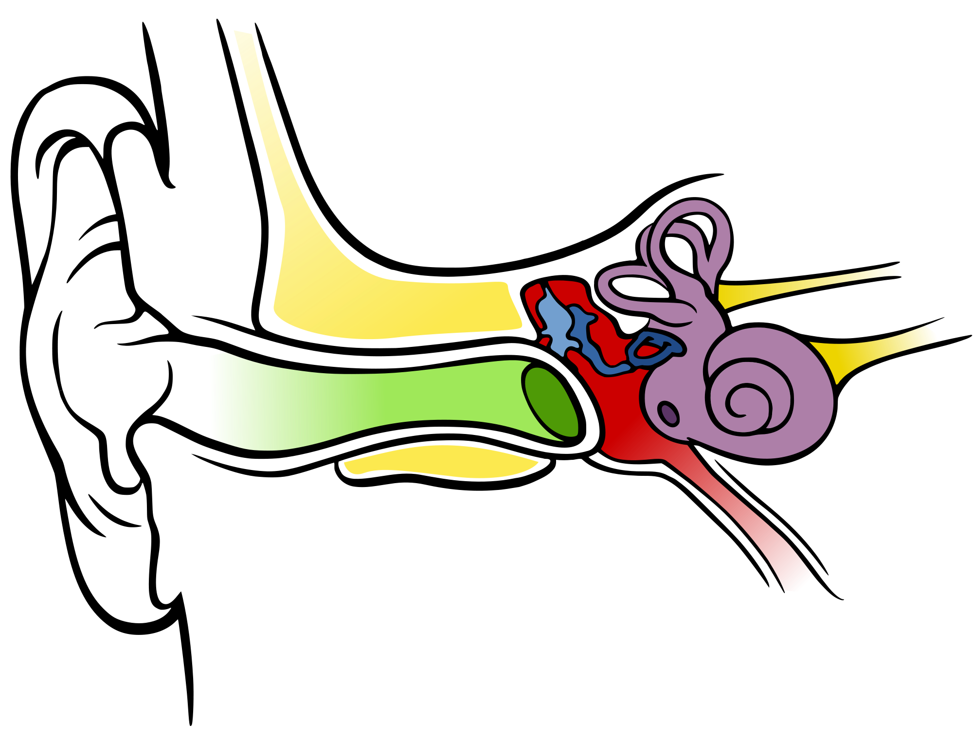 Adenotomia z tympanostomią